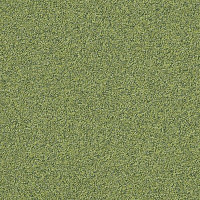 Ковровая плитка Interface Biosfera Boucle 7889 Smeraldo фото 1 | FLOORDEALER